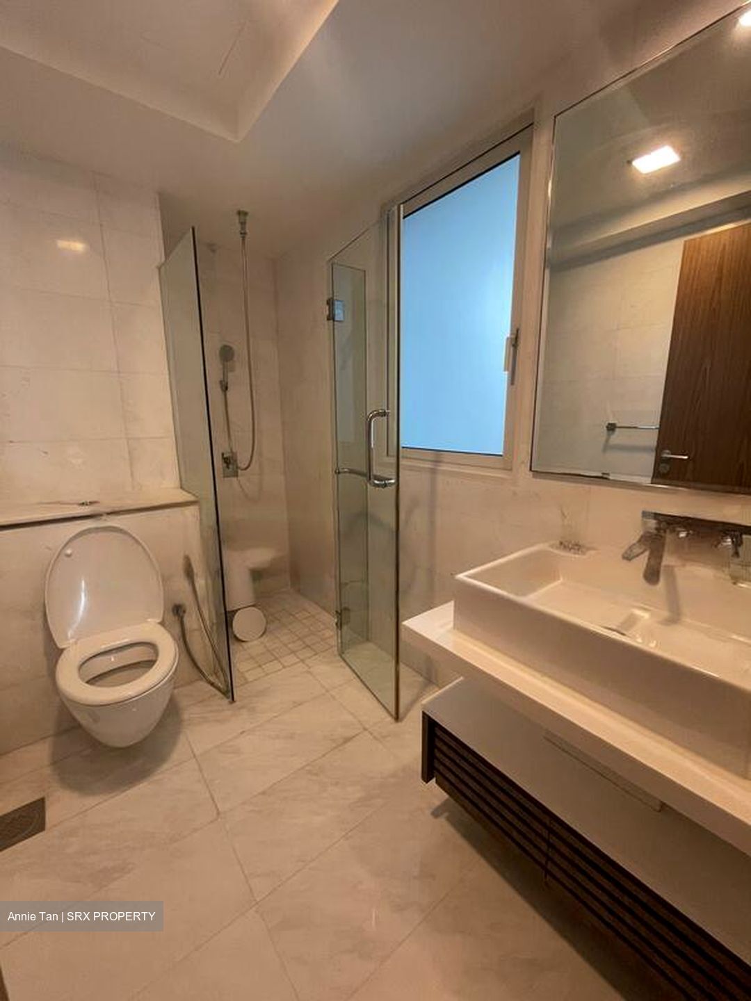 Suites At Orchard (D9), Apartment #455108791